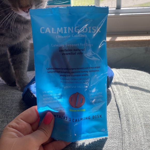 XS Premium inflatable protective collar for dogs and cats - Picture 5 of 5